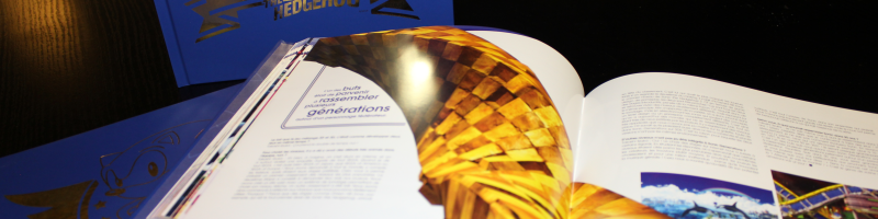 Pix’n Love: English History of Sonic WILL be Published