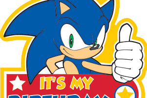 The Sonic Stadium is 13 Years Old Today!
