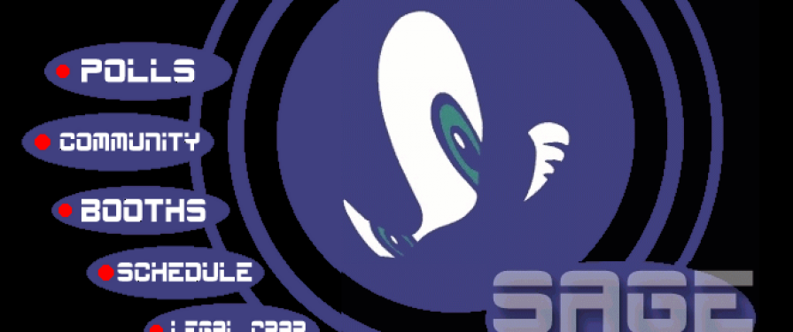 Sonic Amateur Games Expo Kicks off Second Show of 2001
